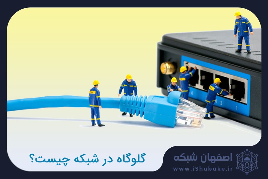 گلوکاه شبکه چیست؟